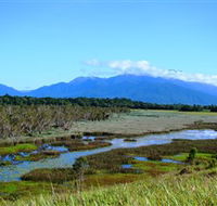 Eubenangee Swamp National Park - Gold Coast Attractions