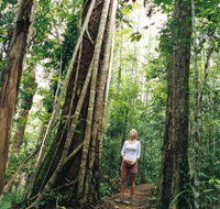 Wet Tropics - Gold Coast Attractions