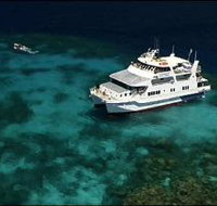 Fish Bowl Dive Site - Gold Coast Attractions