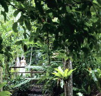 Flecker Botanic Gardens - Gold Coast Attractions