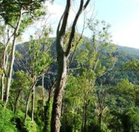Smiths Track Barron Gorge National Park - Gold Coast Attractions