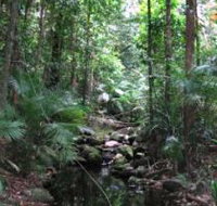 Mossman Gorge Rainforest Circuit Track Daintree National Park - Gold Coast Attractions