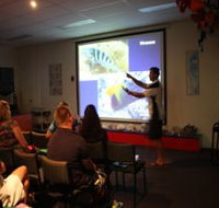 Reef Teach - Gold Coast Attractions