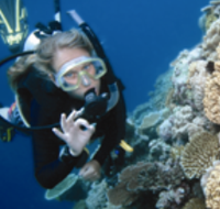 Moore Reef Dive Site - Gold Coast Attractions