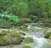 Mossman Gorge Daintree National Park - Gold Coast Attractions