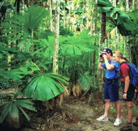 Mount Sorrow Ridge Trail Daintree National Park - Gold Coast Attractions