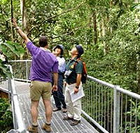 Daintree Discovery Centre - Gold Coast Attractions