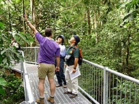 Daintree Discovery Centre - Gold Coast Attractions 0