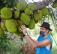 Cape Trib Exotic Fruit Farm - Gold Coast Attractions