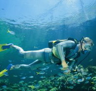 Tijou Reef - Gold Coast Attractions
