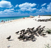 Michaelmas and Upolo Cays National Park - Gold Coast Attractions