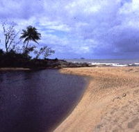 Russell River National Park - Gold Coast Attractions