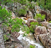 Crows Nest National Park - Gold Coast Attractions