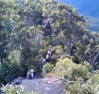 Mia Mia State Forest - Gold Coast Attractions