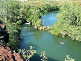 Wild Dog Dreaming, Boodjamulla (Lawn Hill) National Park - Gold Coast Attractions 0