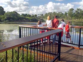  Gold Coast Attractions