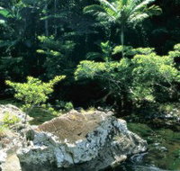 Conway State Forest - Gold Coast Attractions