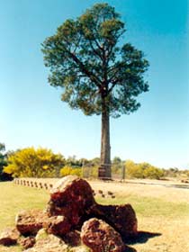 Cuttaburra QLD Gold Coast Attractions