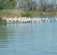 Lake Ross - Gold Coast Attractions