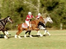 Womina QLD Gold Coast Attractions