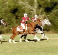 Morgan Park - Gold Coast Attractions