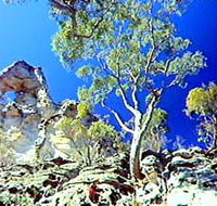 Mount Moffatt Section - Carnarvon National Park - Gold Coast Attractions