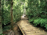 Book Malanda Accommodation Vacations Gold Coast Attractions Gold Coast Attractions