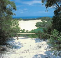 Lake Wabby Track - Gold Coast Attractions