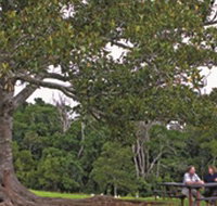 Ravensbourne National Park - Gold Coast Attractions