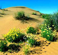 Simpson Desert National Park - Gold Coast Attractions