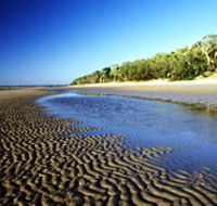 Kinkuna Section - Gold Coast Attractions