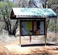 Tregole National Park - Gold Coast Attractions