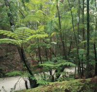 Fraser Island Great Walk - Gold Coast Attractions