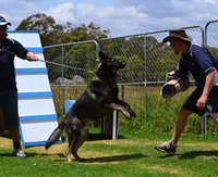 Book The Summit Accommodation Vacations Gold Coast Attractions Gold Coast Attractions