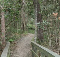 Springwood Conservation Park - Gold Coast Attractions