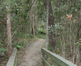 Springwood Conservation Park - Gold Coast Attractions 0