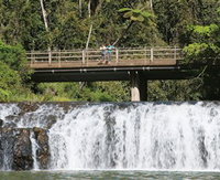 Malanda Falls Conservation Park