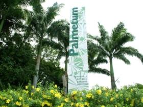 Townsville Palmetum - Gold Coast Attractions 0