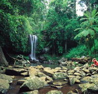 Tamborine National Park - Gold Coast Attractions