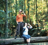 Birdwatching on the Fraser Coast - Gold Coast Attractions