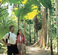 Licuala State Forest - Gold Coast Attractions