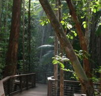 Basin Lake Track - Gold Coast Attractions