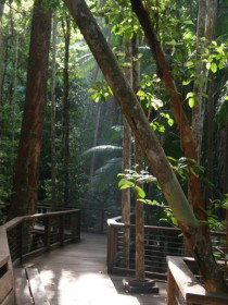 Basin Lake Track - Gold Coast Attractions 0