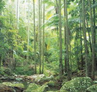 Python Rock - Gold Coast Attractions