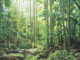 Python Rock - Gold Coast Attractions 0