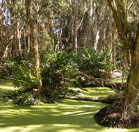 Arkarra Lagoons and Tea Gardens - Gold Coast Attractions
