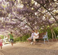 Laurel Bank Park - Gold Coast Attractions