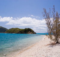 Paddle Bay Track and Campsite - Gold Coast Attractions