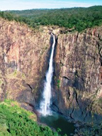 Gugigugi (Butterfly) Walk, Wet Tropics Great Walk - Gold Coast Attractions 0