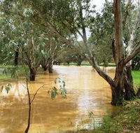 Saddliers Waterhole and Hamburg Creek - Gold Coast Attractions